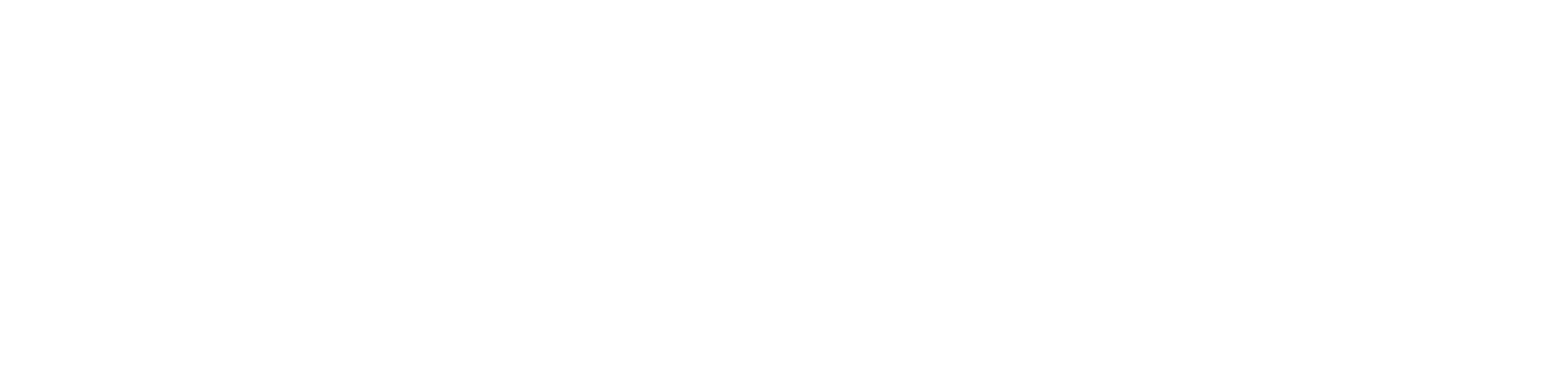 DataStealth Logo White-1